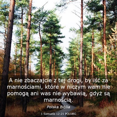 Picture 03 - 1 Samuela 12:21 POLUBG - A nie zbaczajcie z tej drogi, by iść za - Bible Verse Picture