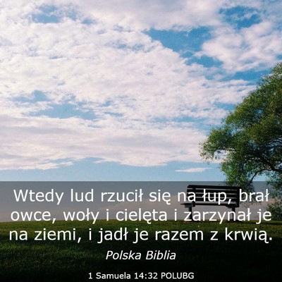 Picture 03 - 1 Samuela 14:32 POLUBG - Wtedy lud rzucił się na łup, brał owce, woły - Bible Verse Picture