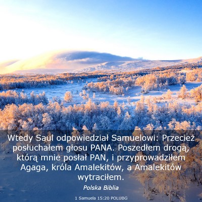 Picture 03 - 1 Samuela 15:20 POLUBG - Wtedy Saul odpowiedział Samuelowi: Przecież - Bible Verse Picture