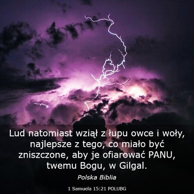 Picture 03 - 1 Samuela 15:21 POLUBG - Lud natomiast wziął z łupu owce i woły, - Bible Verse Picture