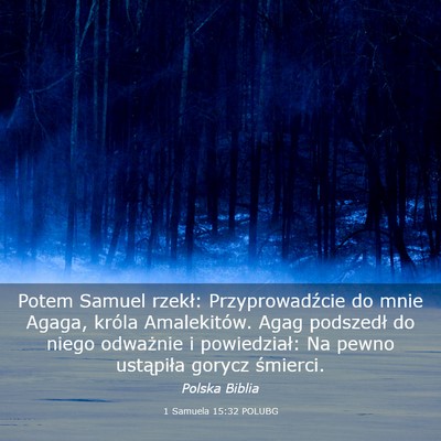 Picture 03 - 1 Samuela 15:32 POLUBG - Potem Samuel rzekł: Przyprowadźcie do mnie - Bible Verse Picture