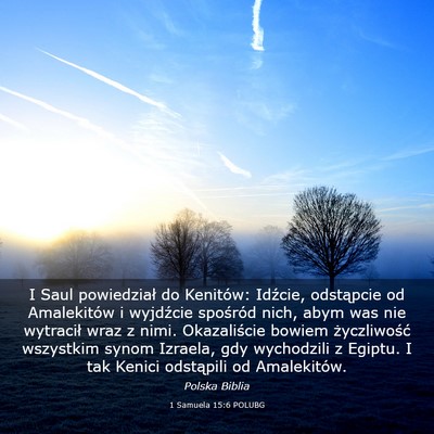 Picture 03 - 1 Samuela 15:6 POLUBG - I Saul powiedział do Kenitów: Idźcie, - Bible Verse Picture