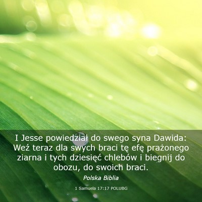 Picture 03 - 1 Samuela 17:17 POLUBG - I Jesse powiedział do swego syna Dawida: Weź - Bible Verse Picture