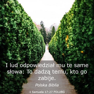 Picture 03 - 1 Samuela 17:27 POLUBG - I lud odpowiedział mu te same słowa: To dadzą - Bible Verse Picture