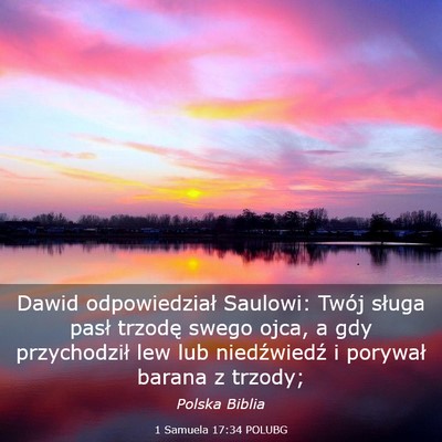 Picture 03 - 1 Samuela 17:34 POLUBG - Dawid odpowiedział Saulowi: Twój sługa pasł - Bible Verse Picture