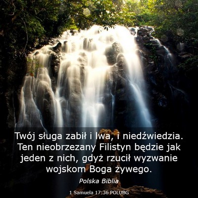 Picture 03 - 1 Samuela 17:36 POLUBG - Twój sługa zabił i lwa, i niedźwiedzia. Ten - Bible Verse Picture