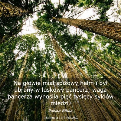 Picture 03 - 1 Samuela 17:5 POLUBG - Na głowie miał spiżowy hełm i był ubrany w - Bible Verse Picture