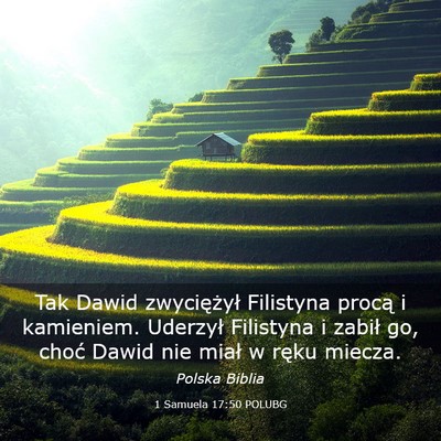 Picture 03 - 1 Samuela 17:50 POLUBG - Tak Dawid zwyciężył Filistyna procą i - Bible Verse Picture