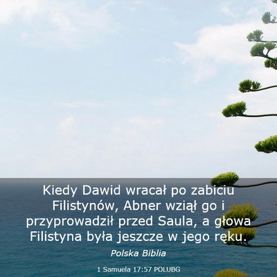 Picture 03 - 1 Samuela 17:57 POLUBG - Kiedy Dawid wracał po zabiciu Filistynów, Abner - Bible Verse Picture