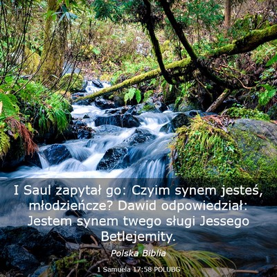 Picture 03 - 1 Samuela 17:58 POLUBG - I Saul zapytał go: Czyim synem jesteś, - Bible Verse Picture