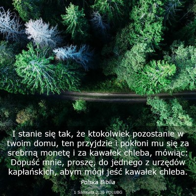 Picture 03 - 1 Samuela 2:36 POLUBG - I stanie się tak, że ktokolwiek pozostanie w - Bible Verse Picture