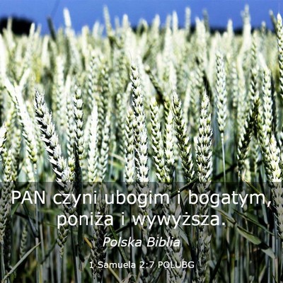 Picture 03 - 1 Samuela 2:7 POLUBG - PAN czyni ubogim i bogatym, poniża i - Bible Verse Picture