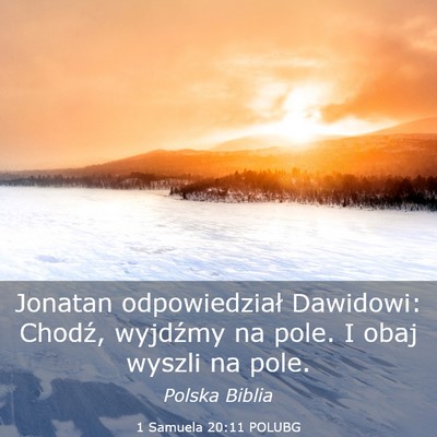 Picture 03 - 1 Samuela 20:11 POLUBG - Jonatan odpowiedział Dawidowi: Chodź, wyjdźmy - Bible Verse Picture