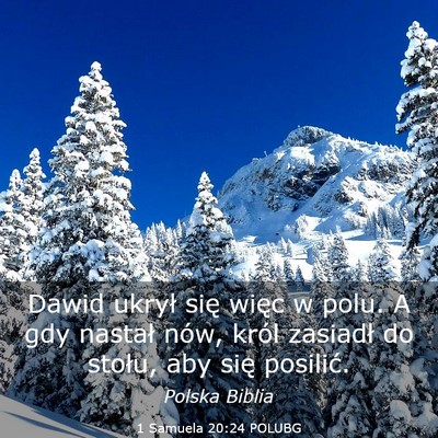Picture 03 - 1 Samuela 20:24 POLUBG - Dawid ukrył się więc w polu. A gdy nastał - Bible Verse Picture
