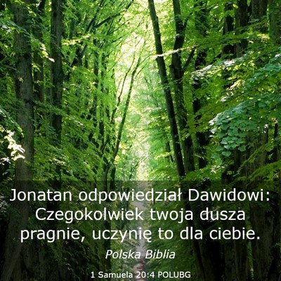Picture 03 - 1 Samuela 20:4 POLUBG - Jonatan odpowiedział Dawidowi: Czegokolwiek - Bible Verse Picture