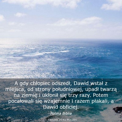 Picture 03 - 1 Samuela 20:41 POLUBG - A gdy chłopiec odszedł, Dawid wstał z miejsca, - Bible Verse Picture