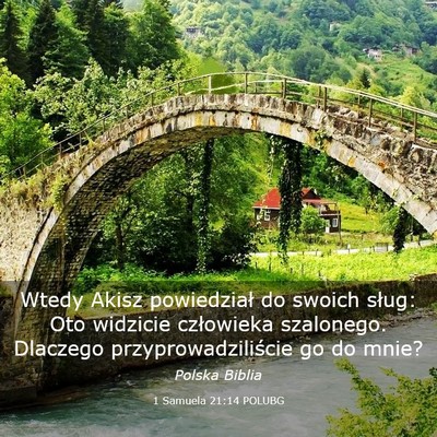 Picture 03 - 1 Samuela 21:14 POLUBG - Wtedy Akisz powiedział do swoich sług: Oto - Bible Verse Picture