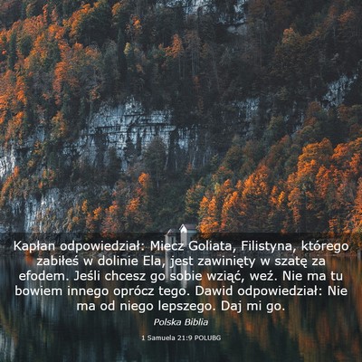Picture 03 - 1 Samuela 21:9 POLUBG - Kapłan odpowiedział: Miecz Goliata, Filistyna, - Bible Verse Picture