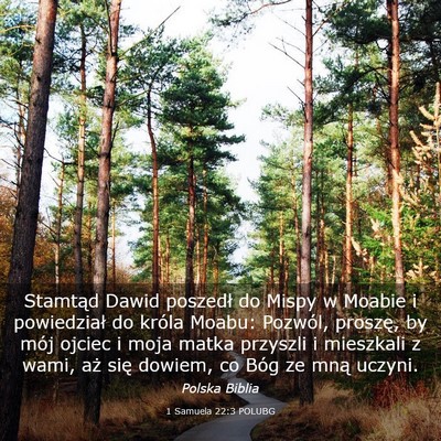 Picture 03 - 1 Samuela 22:3 POLUBG - Stamtąd Dawid poszedł do Mispy w Moabie i - Bible Verse Picture