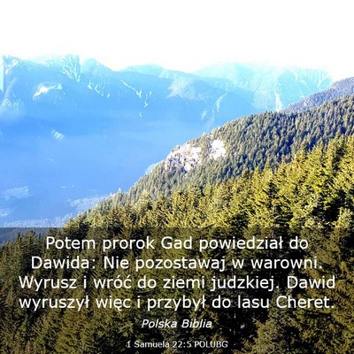 Picture 03 - 1 Samuela 22:5 POLUBG - Potem prorok Gad powiedział do Dawida: Nie - Bible Verse Picture
