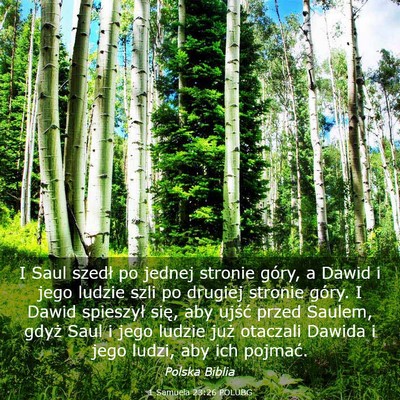 Picture 03 - 1 Samuela 23:26 POLUBG - I Saul szedł po jednej stronie góry, a Dawid i - Bible Verse Picture