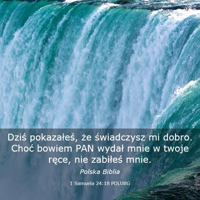 Picture 03 - 1 Samuela 24:18 POLUBG - Dziś pokazałeś, że świadczysz mi dobro. - Bible Verse Picture