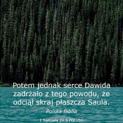 Picture 03 - 1 Samuela 24:5 POLUBG - Potem jednak serce Dawida zadrżało z tego - Bible Verse Picture