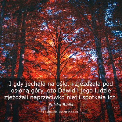 Picture 03 - 1 Samuela 25:20 POLUBG - I gdy jechała na ośle, i zjeżdżała pod - Bible Verse Picture