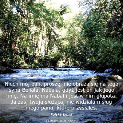 Picture 03 - 1 Samuela 25:25 POLUBG - Niech mój pan, proszę, nie obraża się na tego - Bible Verse Picture