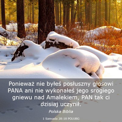 Picture 03 - 1 Samuela 28:18 POLUBG - Ponieważ nie byłeś posłuszny głosowi PANA - Bible Verse Picture