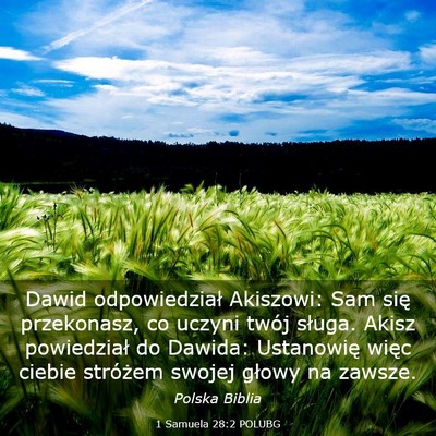 Picture 03 - 1 Samuela 28:2 POLUBG - Dawid odpowiedział Akiszowi: Sam się - Bible Verse Picture