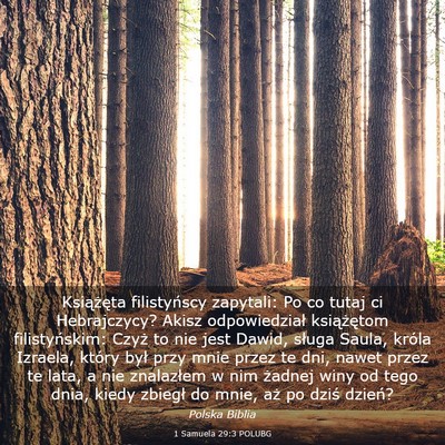 Picture 03 - 1 Samuela 29:3 POLUBG - Książęta filistyńscy zapytali: Po co tutaj ci - Bible Verse Picture