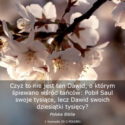 Picture 03 - 1 Samuela 29:5 POLUBG - Czyż to nie jest ten Dawid, o którym śpiewano - Bible Verse Picture