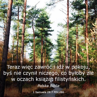Picture 03 - 1 Samuela 29:7 POLUBG - Teraz więc zawróć i idź w pokoju, byś nie - Bible Verse Picture