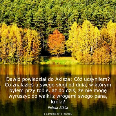 Picture 03 - 1 Samuela 29:8 POLUBG - Dawid powiedział do Akisza: Cóż uczyniłem? Co - Bible Verse Picture