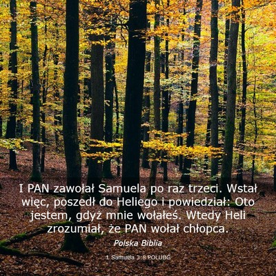 Picture 03 - 1 Samuela 3:8 POLUBG - I PAN zawołał Samuela po raz trzeci. Wstał - Bible Verse Picture