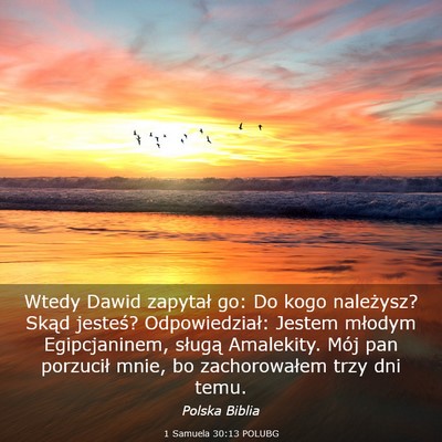 Picture 03 - 1 Samuela 30:13 POLUBG - Wtedy Dawid zapytał go: Do kogo należysz? Skąd - Bible Verse Picture