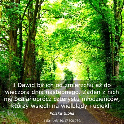 Picture 03 - 1 Samuela 30:17 POLUBG - I Dawid bił ich od zmierzchu aż do wieczora - Bible Verse Picture