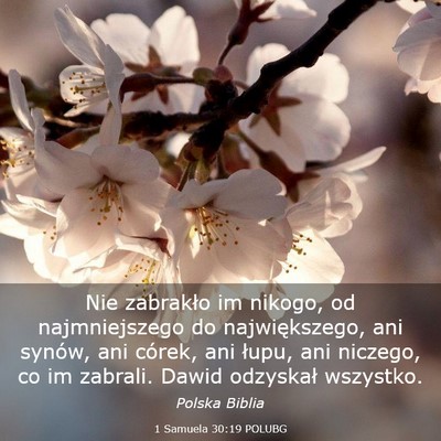 Picture 03 - 1 Samuela 30:19 POLUBG - Nie zabrakło im nikogo, od najmniejszego do - Bible Verse Picture