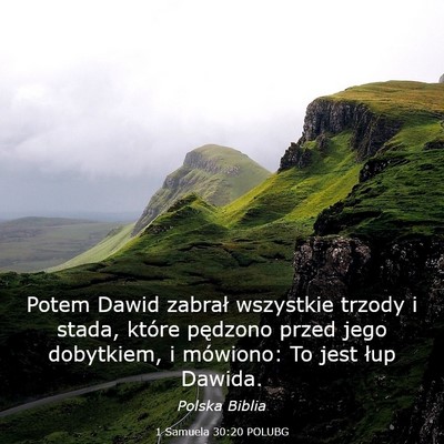 Picture 03 - 1 Samuela 30:20 POLUBG - Potem Dawid zabrał wszystkie trzody i stada, - Bible Verse Picture