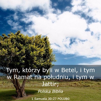 Picture 03 - 1 Samuela 30:27 POLUBG - Tym, którzy byli w Betel, i tym w Ramat na - Bible Verse Picture