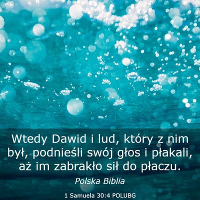 Picture 03 - 1 Samuela 30:4 POLUBG - Wtedy Dawid i lud, który z nim był, podnieśli - Bible Verse Picture
