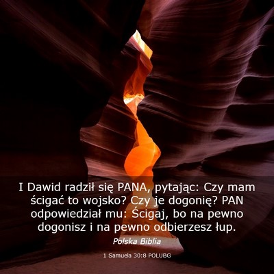 Picture 03 - 1 Samuela 30:8 POLUBG - I Dawid radził się PANA, pytając: Czy mam - Bible Verse Picture