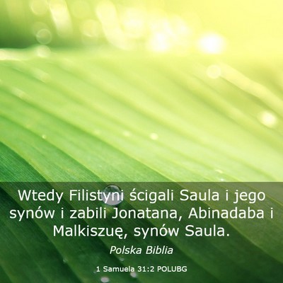 Picture 03 - 1 Samuela 31:2 POLUBG - Wtedy Filistyni ścigali Saula i jego synów i - Bible Verse Picture