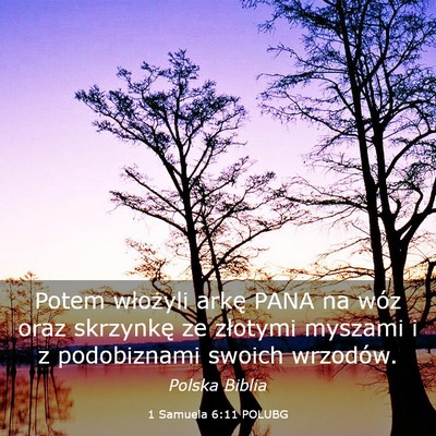 Picture 03 - 1 Samuela 6:11 POLUBG - Potem włożyli arkę PANA na wóz oraz skrzynkę - Bible Verse Picture