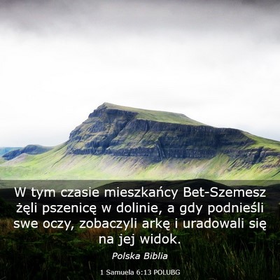 Picture 03 - 1 Samuela 6:13 POLUBG - W tym czasie mieszkańcy Bet-Szemesz żęli - Bible Verse Picture