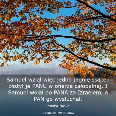 Picture 03 - 1 Samuela 7:9 POLUBG - Samuel wziął więc jedno jagnię ssące i - Bible Verse Picture