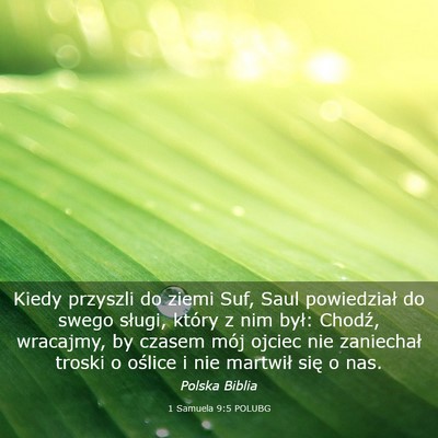 Picture 03 - 1 Samuela 9:5 POLUBG - Kiedy przyszli do ziemi Suf, Saul powiedział do - Bible Verse Picture