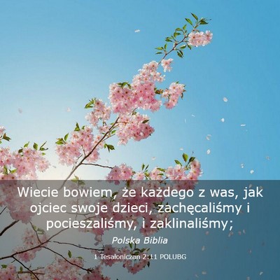 Picture 03 - 1 Tesaloniczan 2:11 POLUBG - Wiecie bowiem, że każdego z was, jak ojciec - Bible Verse Picture