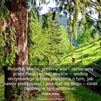 Picture 03 - 1 Tesaloniczan 4:1 POLUBG - Ponadto, bracia, prosimy was i zachęcamy przez - Bible Verse Picture